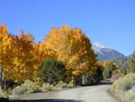 marshall pass fall colors